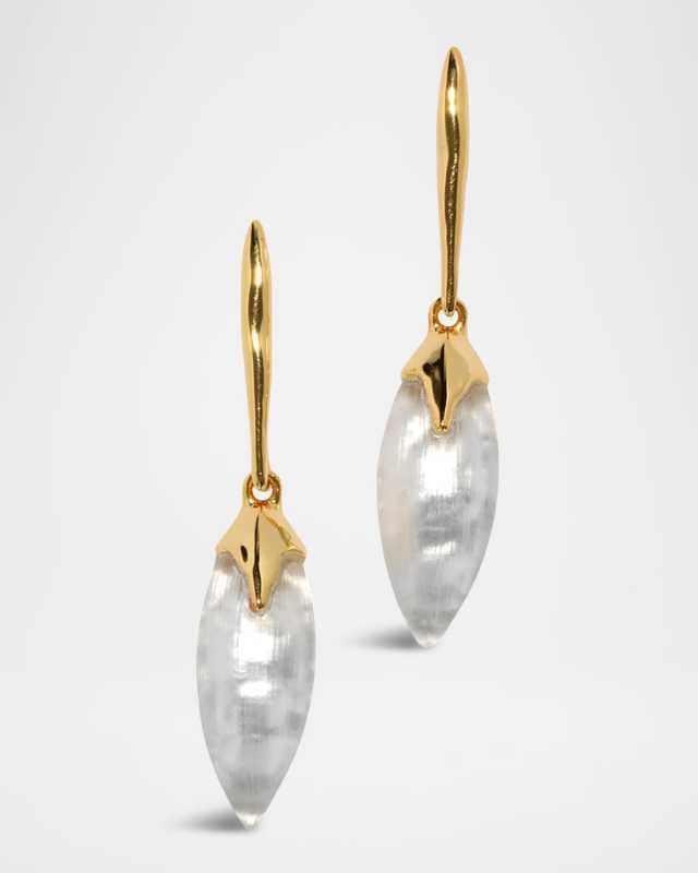 Luminous Lucute Shield Drop Earrings